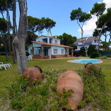 In Near Platja De Villa *